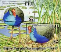 Colnect-609-732-Purple-Swamphen-Porphyrio-porphyrio.jpg