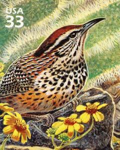 Colnect-2877-629-Cactus-Wren-Campylorhynchus-brunneicapillus.jpg