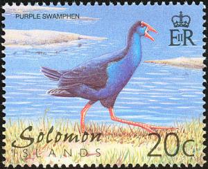 Colnect-2354-169-Purple-Swamphen-Porphyrio-porphyrio.jpg