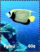 Colnect-3521-024-Emperor-angelfish.jpg