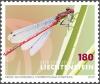 Colnect-5639-638-Large-Red-Damselfly-Pyrrhosoma-nymphula.jpg