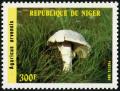 Colnect-1008-715-Mushrooms---Agaricus-arvensis.jpg