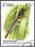 Colnect-1131-248-Large-Red-Damselfly-Pyrrhosoma-nymphula-.jpg