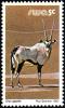 Colnect-5222-267-Gemsbok-Oryx-gazella.jpg