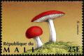 Colnect-2606-986-Sickener-Mushroom-Russula-emetica.jpg