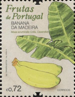 Colnect-2897-212-Musa-paradisiaca.jpg