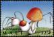 Colnect-2607-010-Caesar-s-Mushroom-Amanita-caesarea.jpg