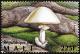 Colnect-2607-013-Fool-s-Mushroom-Amanita-verna.jpg