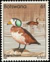 Colnect-597-740-African-Pygmy-Goose-Nettapus-auritus.jpg