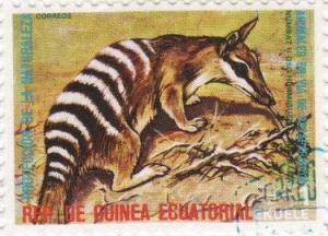 Colnect-959-000-Numbat-Myrmecobius-fasciatus.jpg