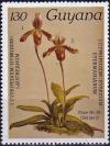 Colnect-4046-727-Cypripedium-laucheanum-eyermanianum.jpg