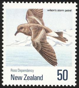 Colnect-735-538-Wilson-s-Storm-petrel-Oceanites-oceanicus.jpg