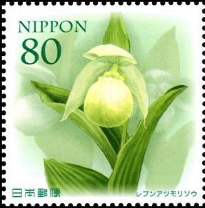 Colnect-5042-256-Cypripedium-marcanthum-var-Rebunense.jpg