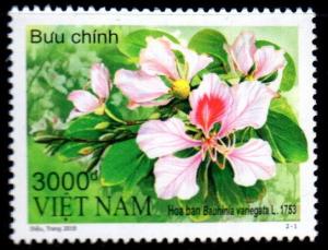 Colnect-4808-568-Flowers-of-Vietnam--Orchid-Tree-Bauhinia-variefata.jpg