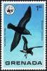 Colnect-1874-782-Wilson-s-Storm-petrel-Oceanites-oceanicus.jpg