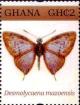 Colnect-3455-649-Purple-Gem-Desmolycaena-mazoensis.jpg