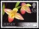 Colnect-706-310-Phragmipedium---Havre-des-Pas-Jersey--.jpg