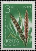 Stamp_of_the_Soviet_Union_1964_Wheat_Bezostaya.jpg