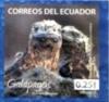 Colnect-3553-398-Marine-Iguanas-Amblyrhynchus-cristatus.jpg