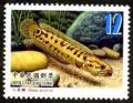 Colnect-1854-163-Chinese-Snakehead-Channa-asiatica.jpg