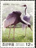 Colnect-2413-984-White-naped-Crane-Grus-vipio.jpg