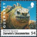 Colnect-4150-516-Marine-Iguana-Amblyrhynchus-cristatus.jpg