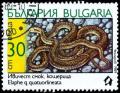 Colnect-820-001-Four-lined-Snake-Elaphe-quatuorlineata.jpg