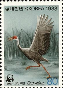 Colnect-2768-472-White-naped-Crane-Grus-vipio.jpg