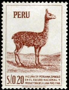 Colnect-1498-227-Vicuna-Vicugna-vicugna-.jpg