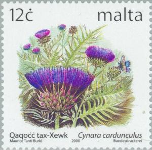 Colnect-131-422-Cynara-cardunculus.jpg