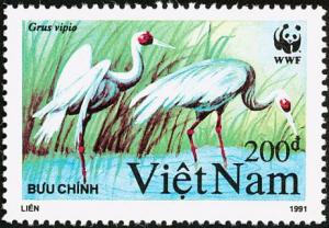 Colnect-1613-165-White-naped-Crane-Grus-vipio.jpg