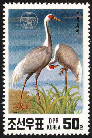 Colnect-1614-814-White-naped-Crane-Grus-vipio.jpg