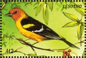 Colnect-1725-643-Western-Tanager%C2%A0Piranga-ludoviciana.jpg