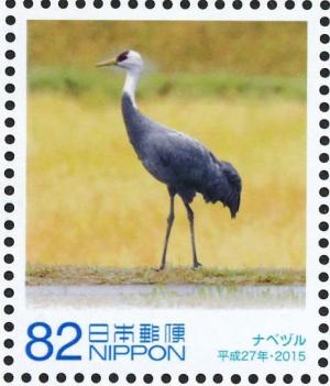 Colnect-3543-903-White-naped-Crane-Grus-vipio.jpg