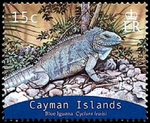 Colnect-3981-744-Blue-Iguana-Cyclura-nubila-lewisi-.jpg