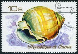 Colnect-4377-795-Sea-Snail-Demoulia-pinguis.jpg