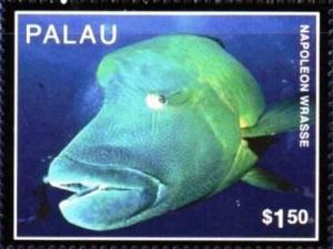 Colnect-4856-889-Napoleon-wrasse.jpg