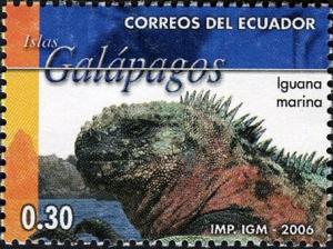 Colnect-5837-360-Marine-Iguana-Amblyrhynchus-cristatus.jpg