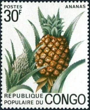 Colnect-5861-484-Ananas-Ananas-comosus.jpg