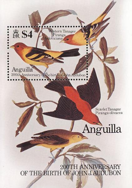 Colnect-579-169-Western-Tanager-Piranga-ludoviciana.jpg