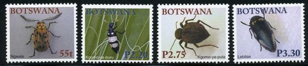 Skap-botswana_12_btls.jpg