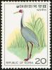 Colnect-2194-496-White-naped-Crane-Grus-vipio.jpg