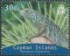 Colnect-4075-798-Blue-Iguana-Cyclura-nubila-lewisi.jpg