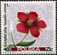 Colnect-4659-466-Anagallis-arvensis.jpg