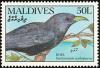 Colnect-1631-853-Asian-Koel-nbsp-Eudynamis-scolopacea-.jpg