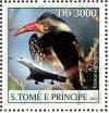 Colnect-3685-936-Northern-Red-billed-Hornbill-nbsp--nbsp--nbsp--nbsp-Tockus-erythrorhynchus.jpg