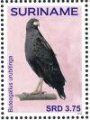 Colnect-3837-200-Great-Black-Hawk-nbsp--nbsp--nbsp--nbsp-Buteogallus-urubitinga.jpg