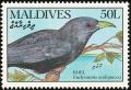 Colnect-1631-853-Asian-Koel-nbsp-Eudynamis-scolopacea-.jpg