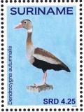 Colnect-3837-201-Black-bellied-Whistling-Duck-nbsp--nbsp--nbsp--nbsp-Dendrocygna-autumnalis.jpg