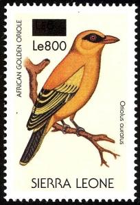 Colnect-3561-472-African-Golden-Oriole-nbsp--nbsp--nbsp--nbsp-Oriolus-auratus.jpg